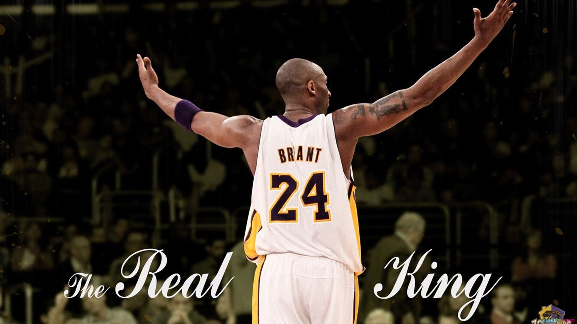 数据复盘：广厦男篮季后赛对阵皇家马德里，武大靖效率值爆表